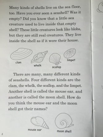 A page from the last book.